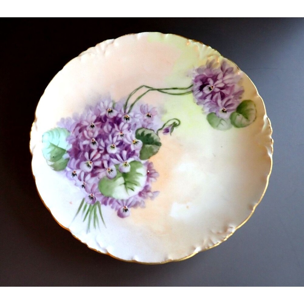 Antique Rosenthal RS Versailles Bavaria Floral Painted Fine China Desert Plate